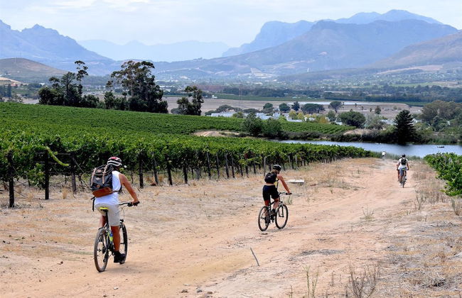 Valley Golf Lodges - Foto 28