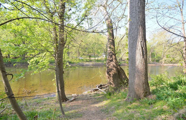 Chesnutt Cabin on the Cacapon River - Foto 40