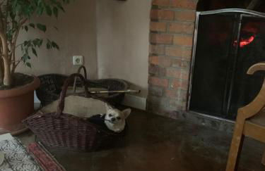 Gutshaus Schwarzenhof - Foto 11