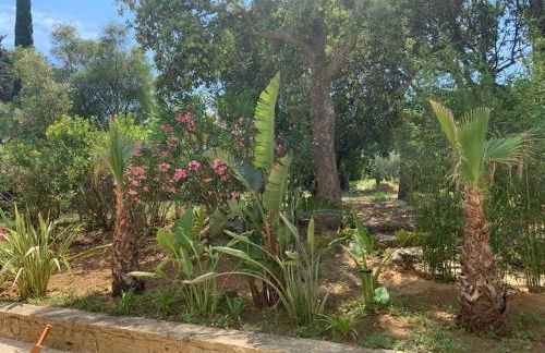 Villa CARIOCA St Tropez - Foto 15