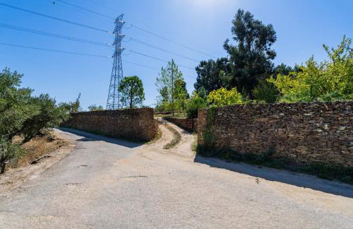 Quinta da Pereira - Photo 36