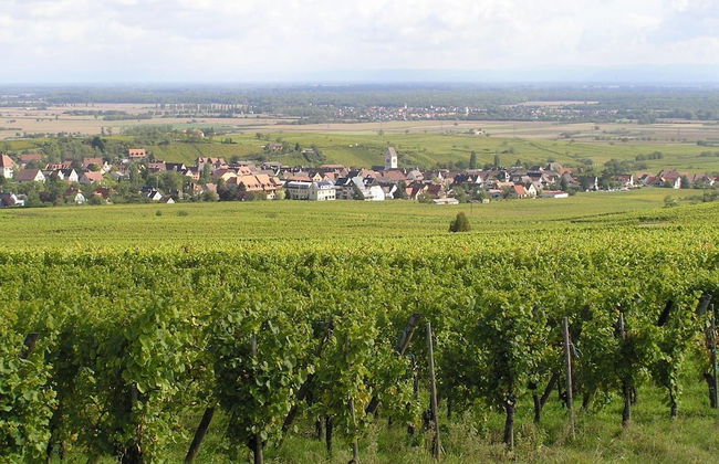 Centre Le Mittel - Photo 15