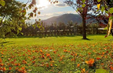 Agriturismo di charme Erbadoro - Foto 55