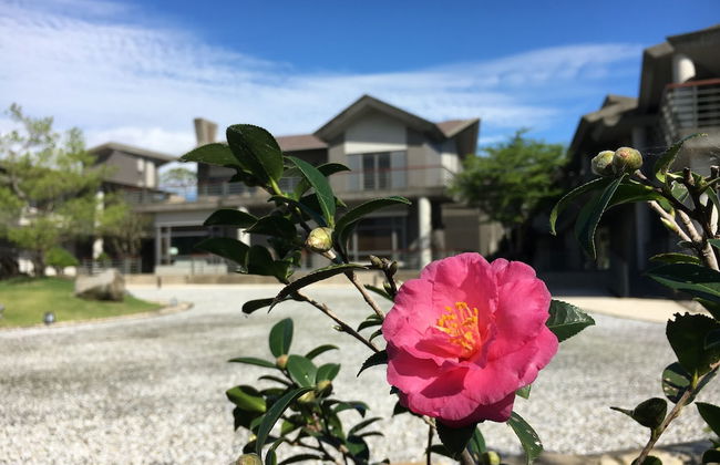 Apex Villa - Photo 52