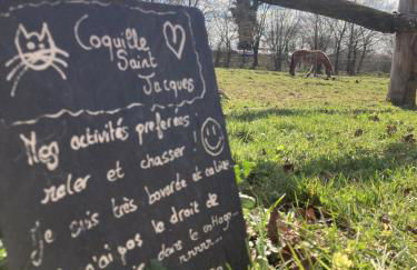 Vue Poneys, 40min Mt St Michel 30min Mer Draps Serviettes Baie Normandie Cottage - Foto 18