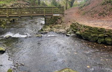 The Burrow - Foto 40