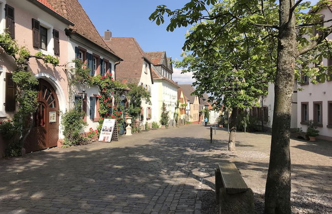 Barocker Hof Rhodt - Foto 49