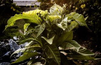 Casa de diseño con gran terraza - Foto 29