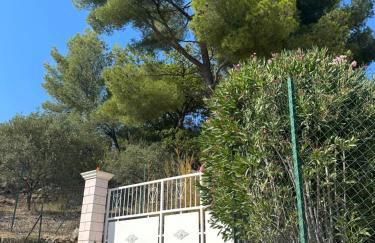 Les Amandiers - Foto 12