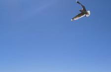 Kleine Hafenperle Büsum - Foto 24