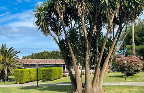 Cozy Cottage - Photo 15