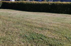 Ferienwohnung Wilmes - Photo 16