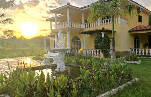 Artes e Café - Foto 5