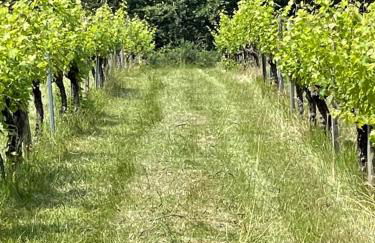 Domaine Le Nourrissat - Foto 2