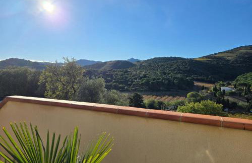 Piscine chauffée privative au Nid de Paulilles - Foto 13