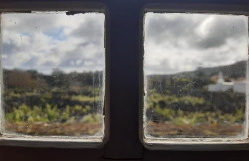 O Pomar do Gasparinho - Foto 5