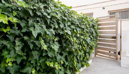 La casita de Sacaba Beach - Photo 5