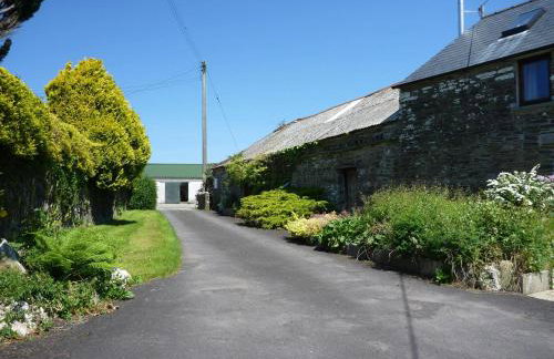 Y Cartws Cardigan - Foto 10