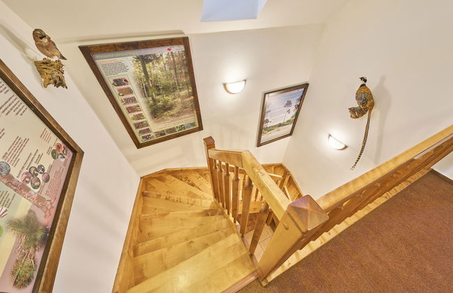 Mazurova chalupa - Foto 32