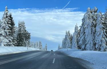 Barrierefreies Altstadtappartement in Osterode - Foto 24