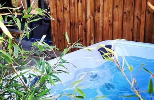 Les Bord'Océanes Sauna & Spa Villa Marensine et Villa Oyat - Foto 7