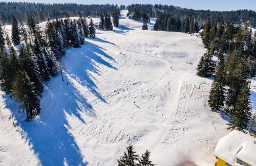FeWo Auszeit am Lift I Direkt an der Skipiste I Whirlpool-Wanne I Tiefgaragenstellplatz I 2min zum Wanderweg - Foto 26