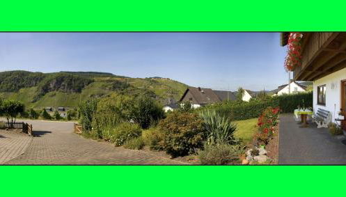 Weingut Hirschen Enkircherweg - Foto 5