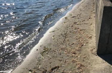 World Cup Stay-Lake Samish Getaway - Foto 14