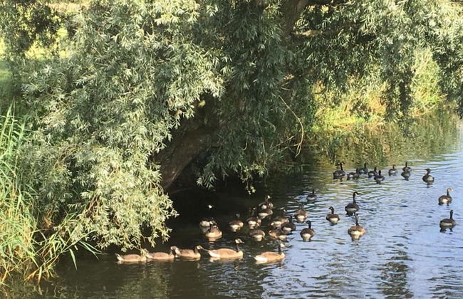 Veldenberg Nature Resort Stay - Foto 35