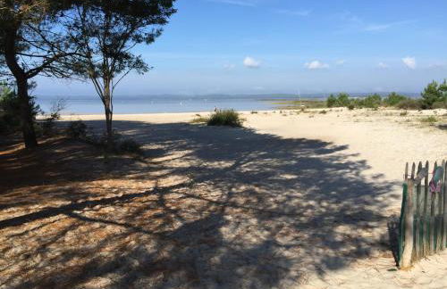 Lachanau Paradis - Photo 25