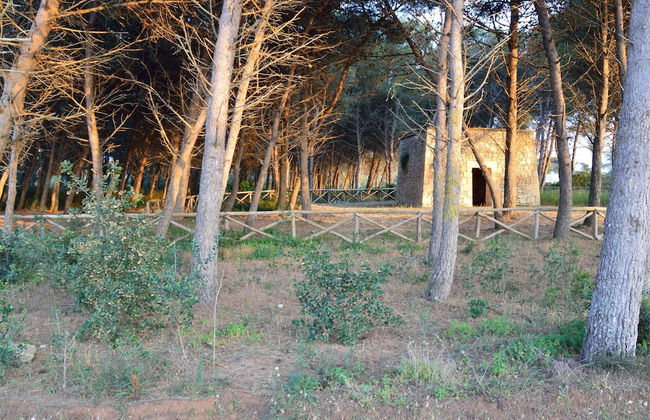 Elcisia Luxe Beach House - Foto 21