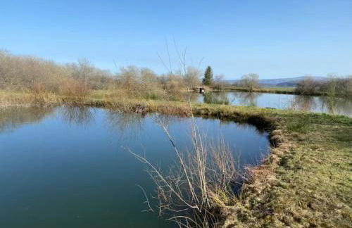 Gite 10 pers - Foto 24