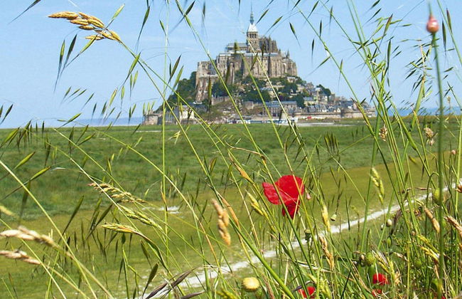 Holiday Home Near Mont St. Michel Beach - Photo 16