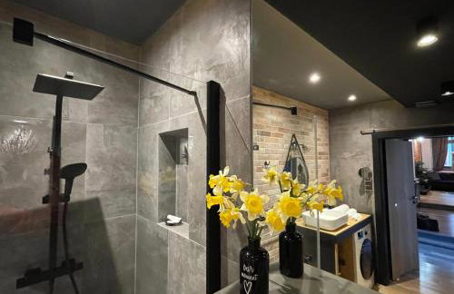 Apartament Podcienie z tarasem Bielsko-Biała Old Town - Foto 39