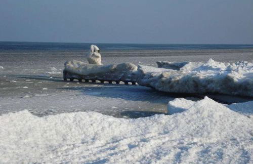 Dreamtime2 Fam Zimmermann - Foto 13