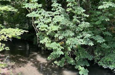 Le nid de Sitelle, appartement, piscine et sauna - Foto 49