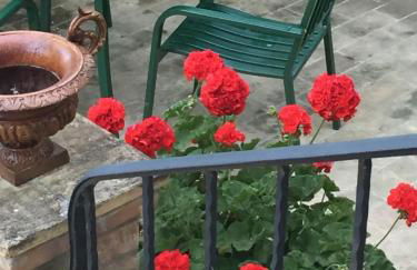 Villa Anna Savini Casa Vacanze - Foto 2