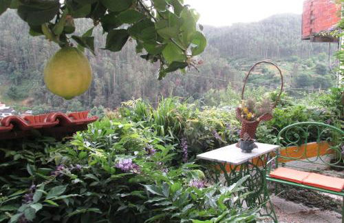 Terraços da Beira - Foto 8