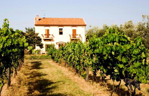 La Pulledraia Del Podere Montegrappa - Photo 14