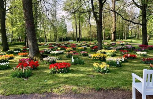 Teutoburg Forest hiking paradise - Foto 11