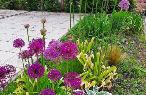 Gelbe Koffer - Design-Apartment in Schiffweiler - 2 Parkplätze - Self-Check-in - ruhig & naturnah - Foto 29