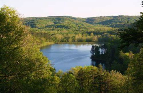 Nature-Quiet Retreat • Firepit BBQ • PetFriendly - Foto 51