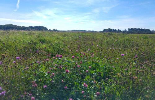 John James at The Bay, Filey - Foto 28