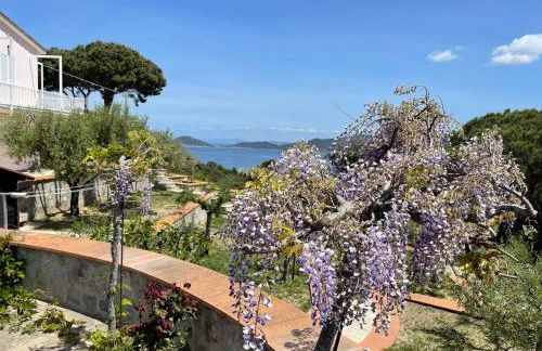 Villa Il Roseto Redinoce - Foto 2