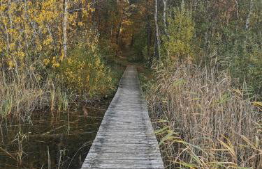 Perle (Ferienhaus) an der polnischen Ostsee - Foto 31