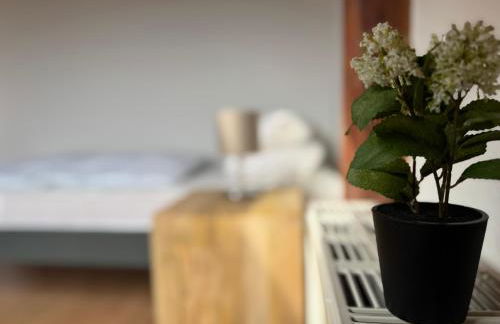 Apartmenthaus Weimarblick - gratis Stellplätze - WLAN - SmartTV - zentral in Weimar - Foto 80