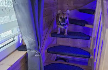 Chatka eden - Foto 8