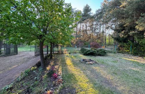 Leśny Zakątek - Foto 34