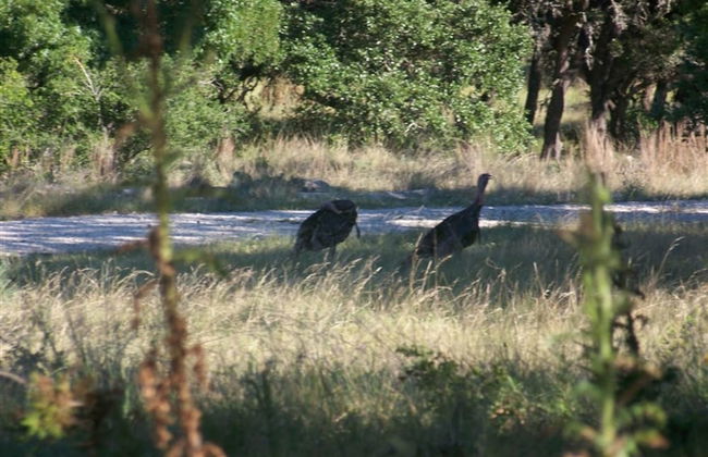 Breezy Hills Cottages - Foto 19