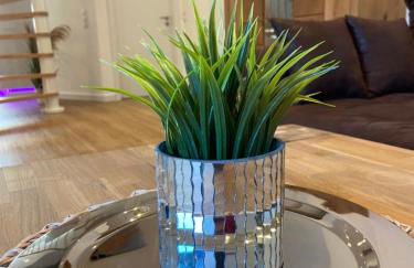 Entspannungsoase Steinhuder Meer inklusive Sauna - Foto 10